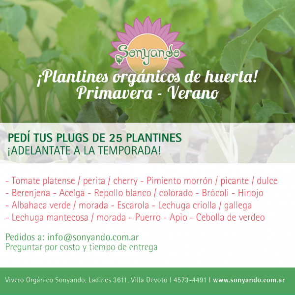 Plugs x 25 Plantines Orgánicos de Huerta