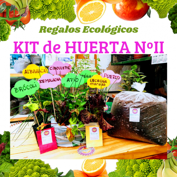 EcoKit Huerta y Aromáticas II