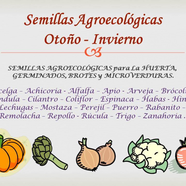 Semillas Orgánicas para la Huerta