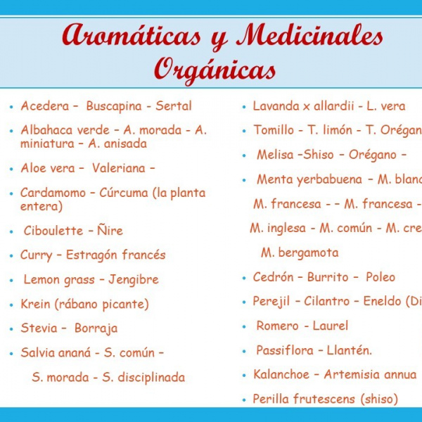 Plantines Orgánicos de Aromáticas , Hierbas Finas y Medicinales 